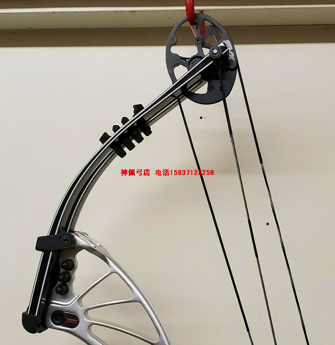 HOYT Prevail PRE 37 ֻ