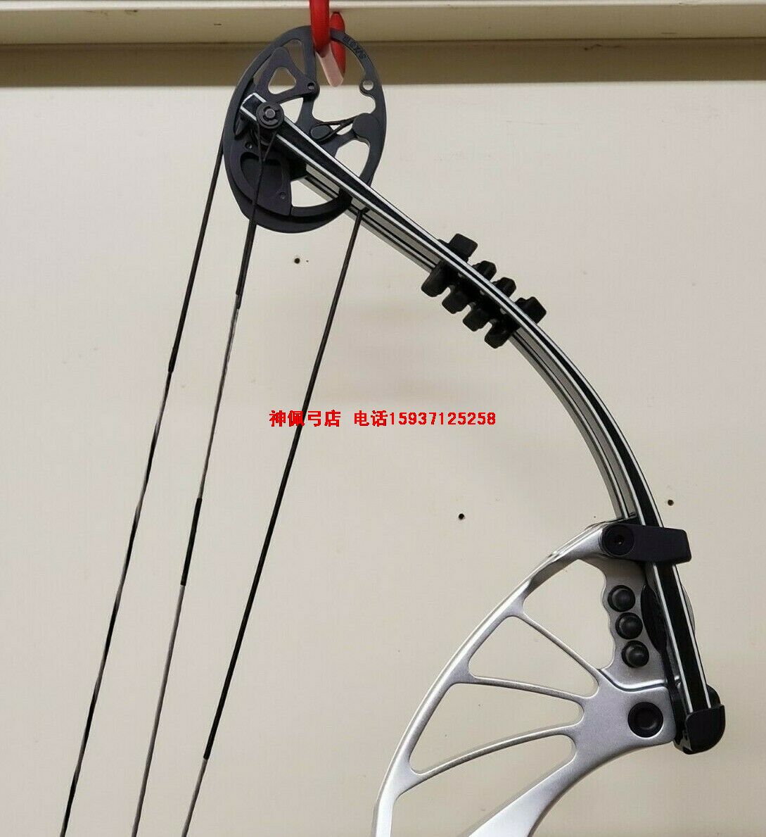 HOYT Prevail PRE 37 ֻ