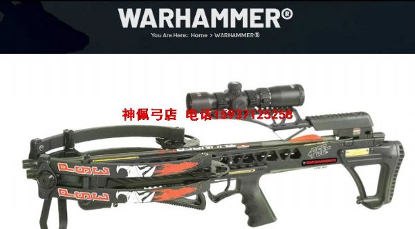 PSE ս PSE WARHAMMER Ԥ