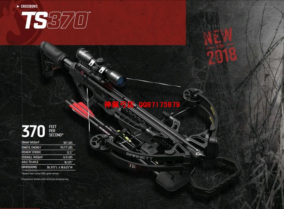 2018¿ TS370 ͣ