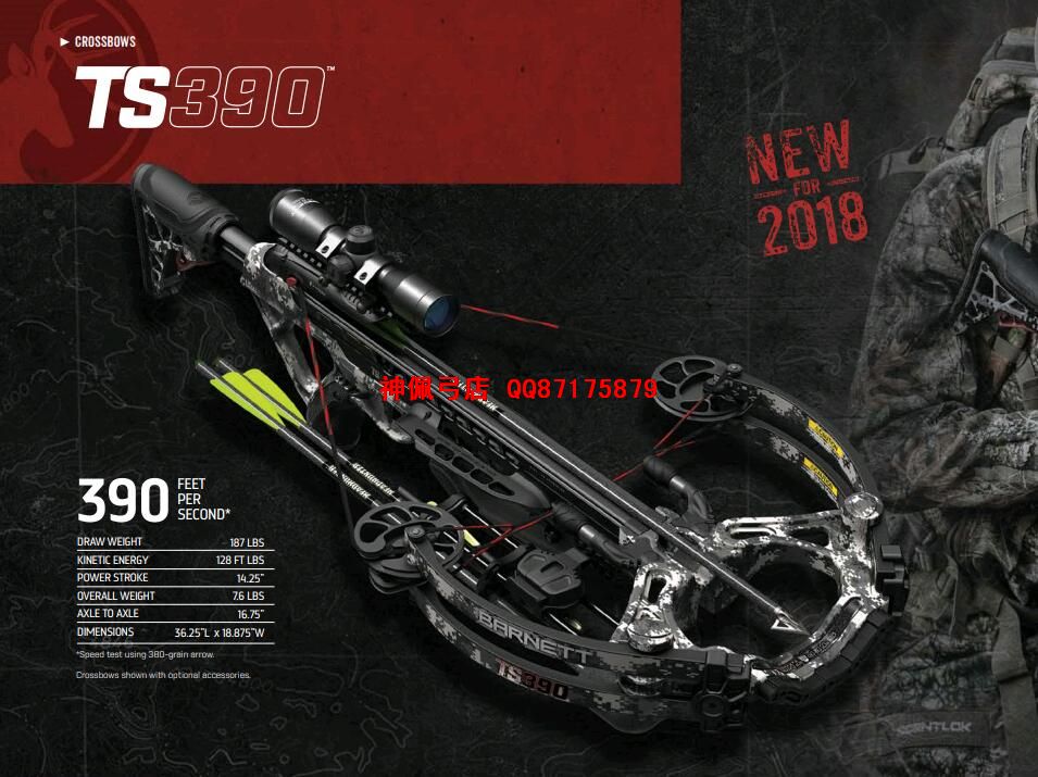 2018¿ TS390  ͣ