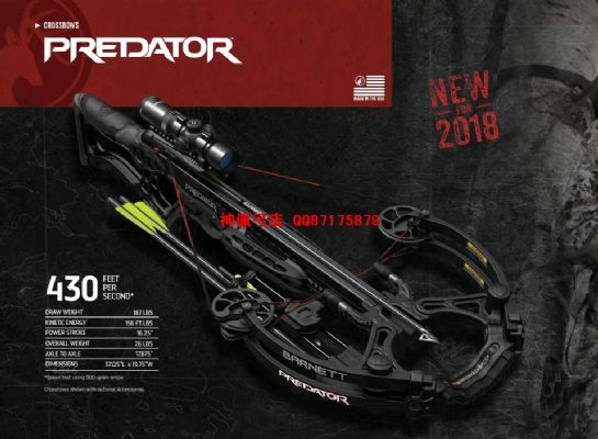 2018¿ Ӷ Barnett Predator ͣ